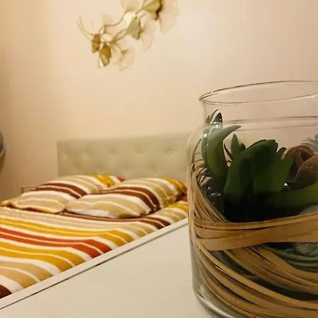 Appartement Plein Centre *