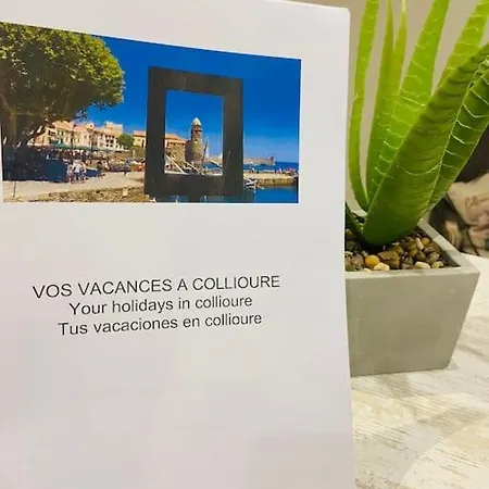 Plein Centre Appartamento Collioure