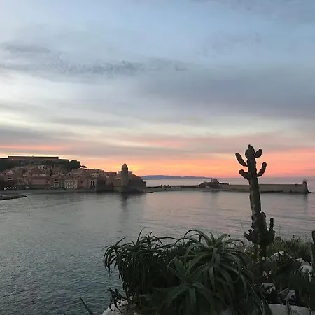 Appartamento Plein Centre *