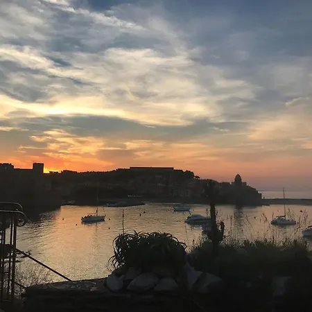 Plein Centre Collioure