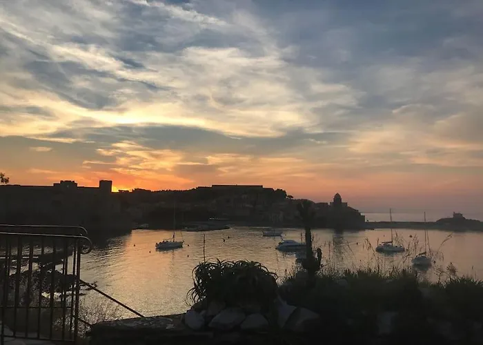 Plein Centre Collioure